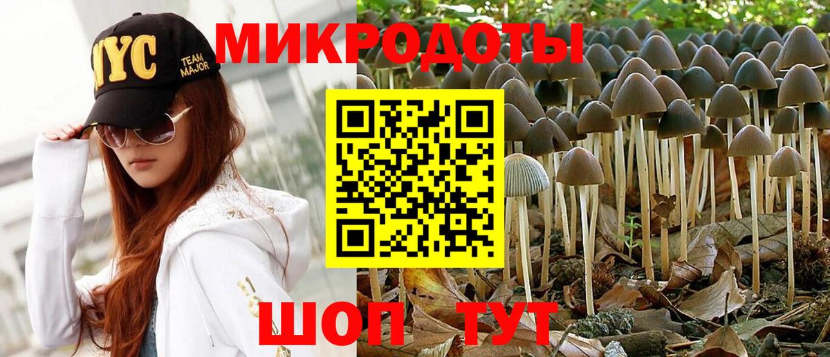Шадринск  Галлюциногенные грибы Psilocybe  Псилоцибиновые грибы Psilocybine cubensis  Вход с VPN 